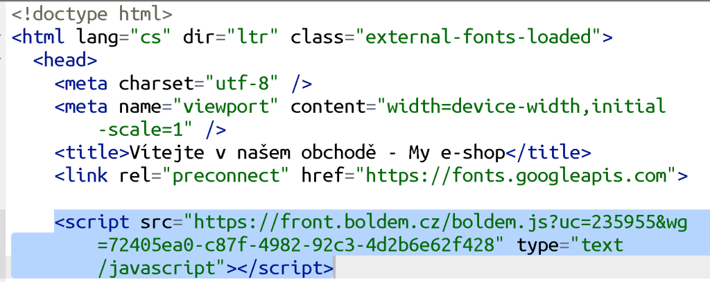 Vzor kódu a jeho umístění v hlavičce HTML stránky.